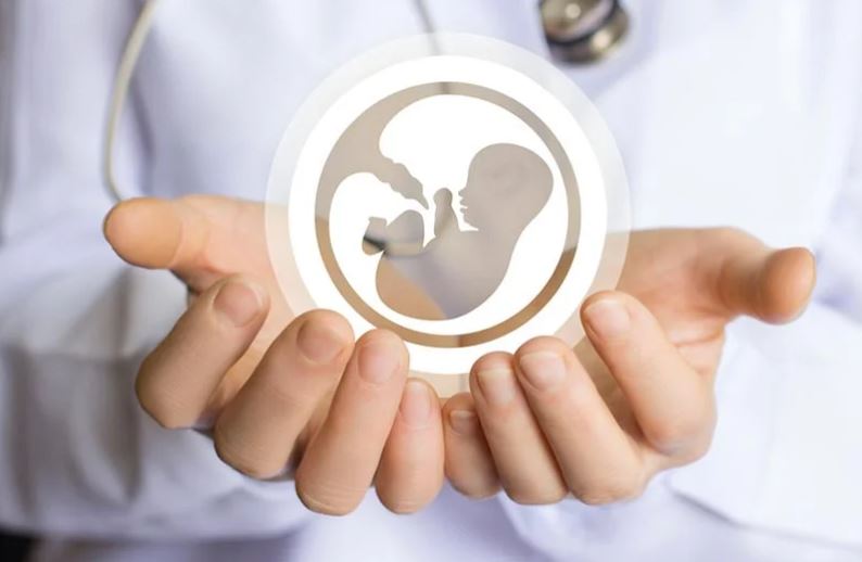 Fecondazione Assistita dott.ssa Cristina Passadore Milano